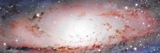 Charlotte L Coolidge banner