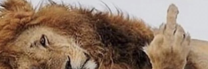 tuneka's profile banner image
