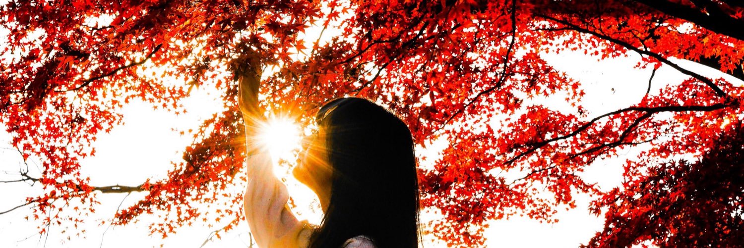 missof_mayu's profile banner image