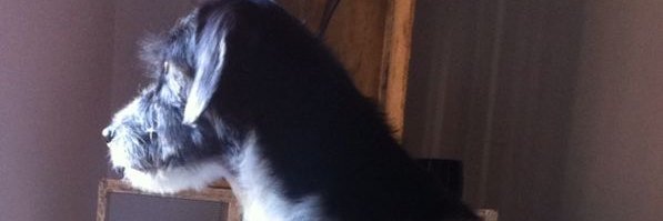 CoxLoreto's profile banner image