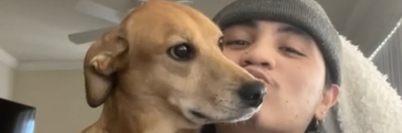 daddimadi's profile banner image