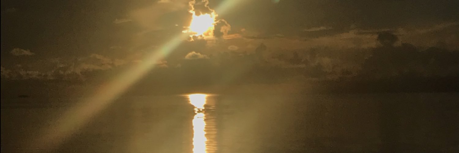 nindanindot's profile banner image
