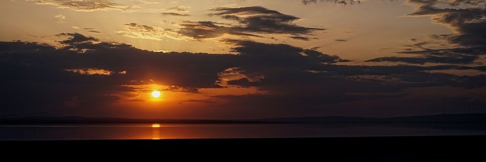 NeuImBusiness's profile banner image