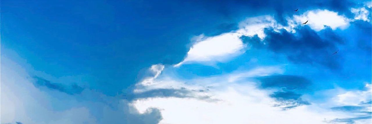 BigDuffer7's profile banner image