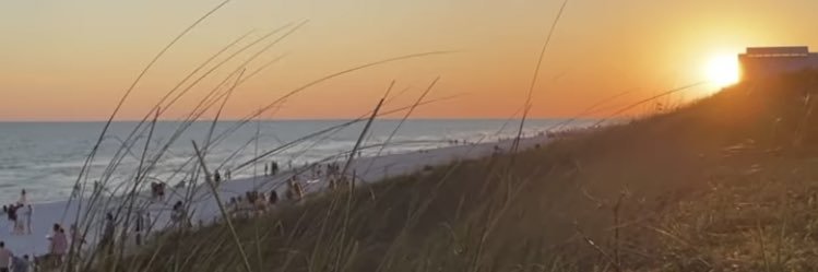 noJeep4u's profile banner image