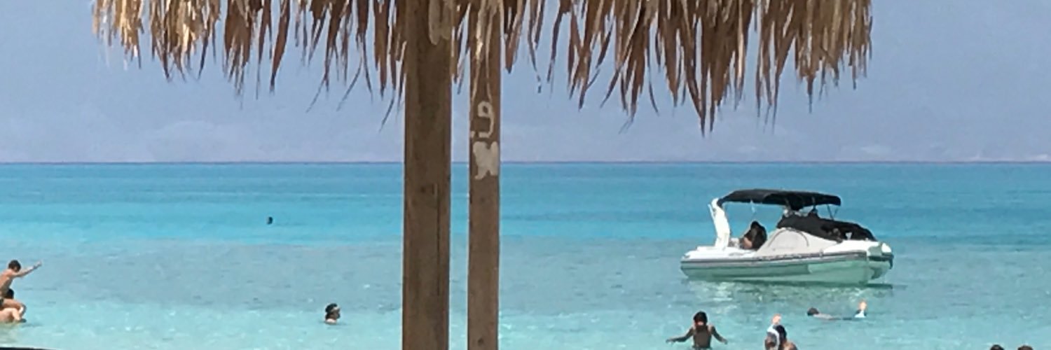 AlibrewsterAli's profile banner image
