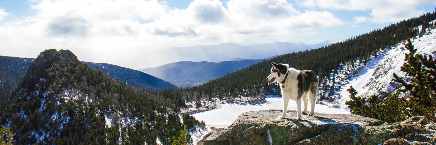 MeganSoffer's profile banner image