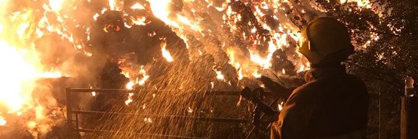 HitchinFire1 Profile Banner