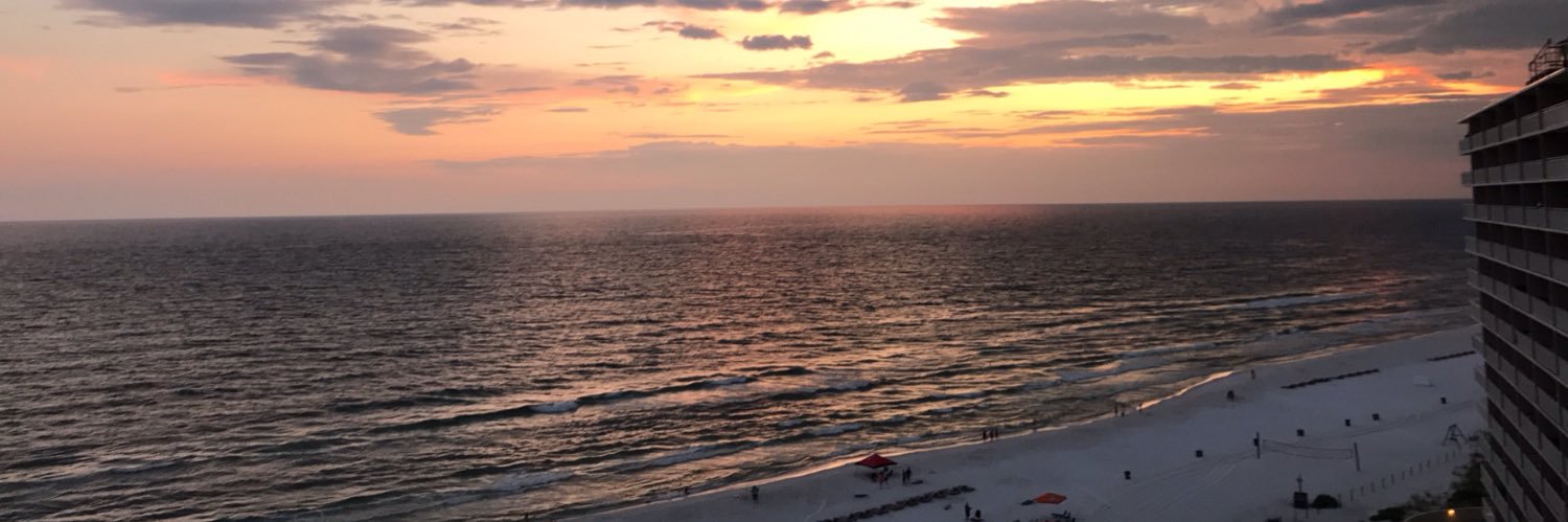 graceconley99's profile banner image