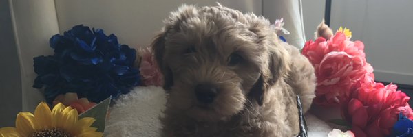 KoriInStyle Profile Banner