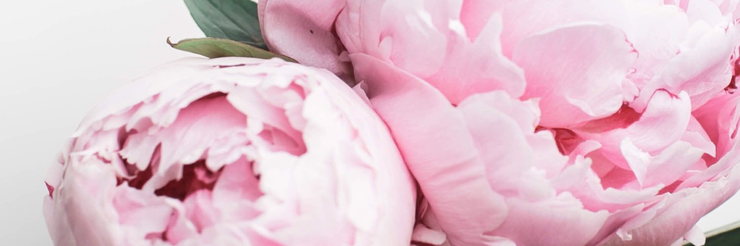 aminah017's profile banner image