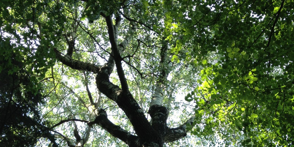 GilbaKorittke's profile banner image