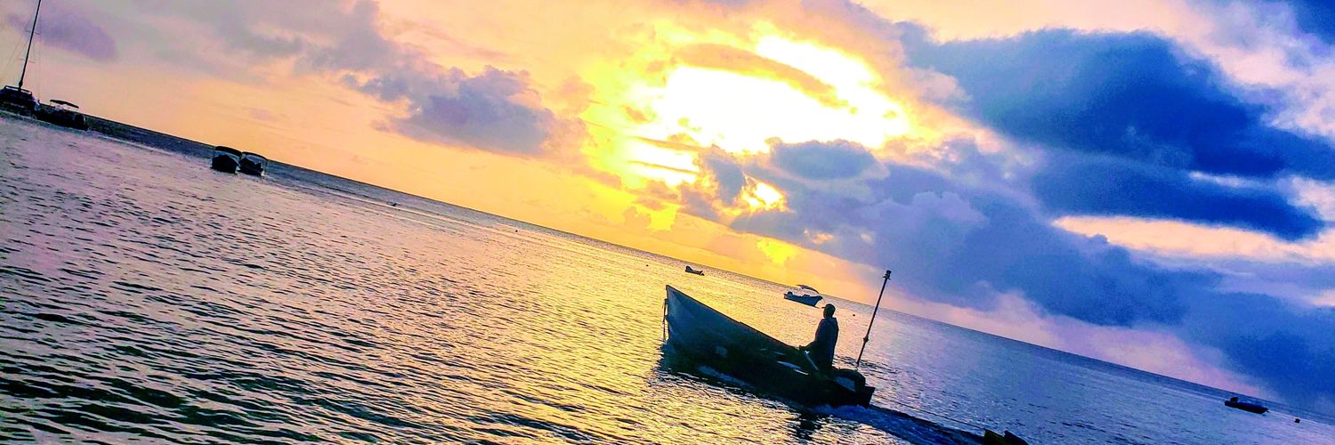 drjtlowe's profile banner image