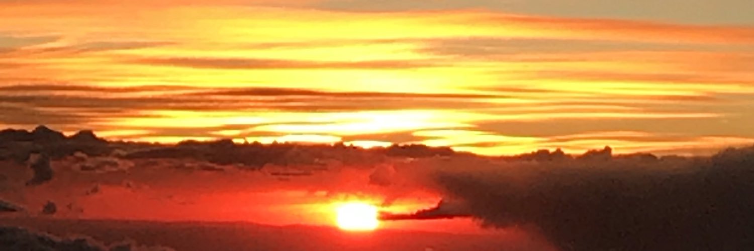 joanne_grossman's profile banner image