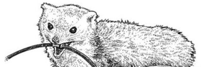 Spugs78's profile banner image
