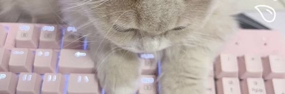 nomuwu's profile banner image