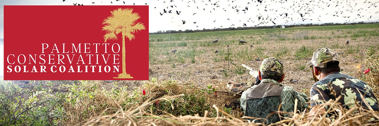 Palmetto Conservative Solar Coalition banner