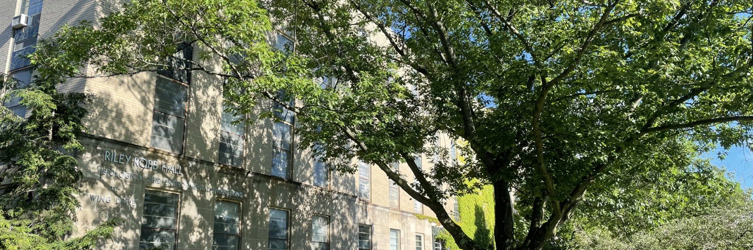 Natalie Cápiro banner