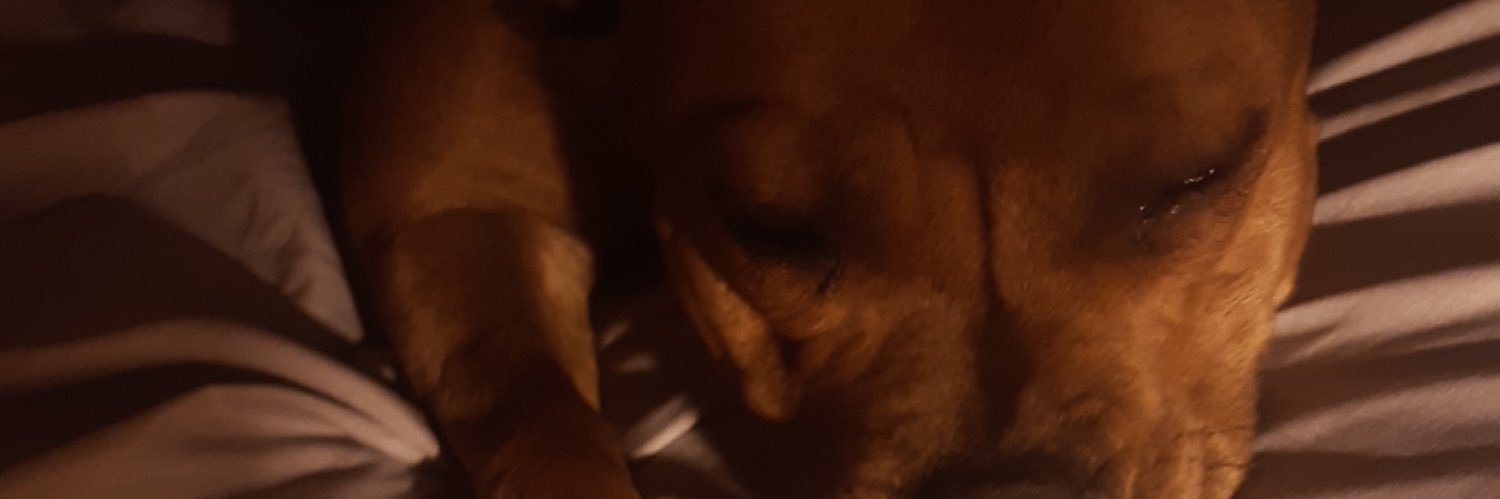 JosRicaurte's profile banner image