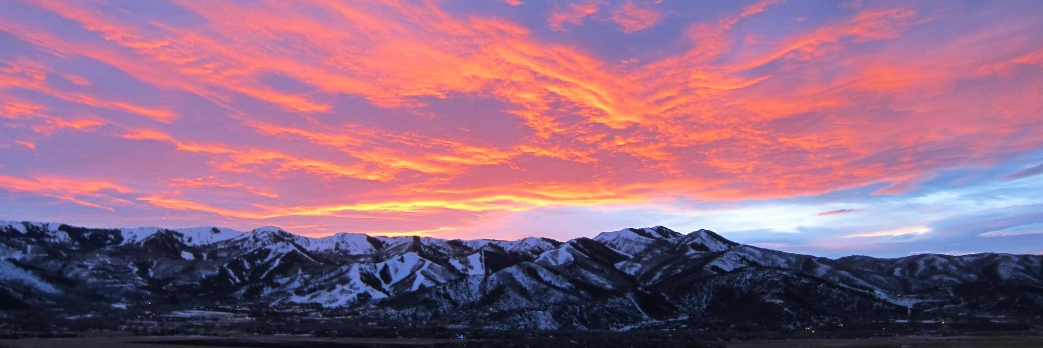 Chelsea Radaković banner