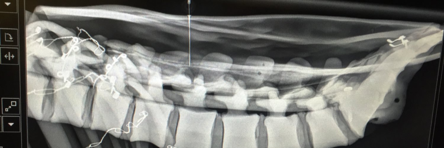 Andrew Blackmore banner