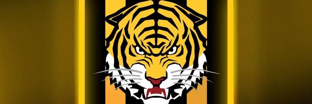 aurinegrocdts's profile banner image
