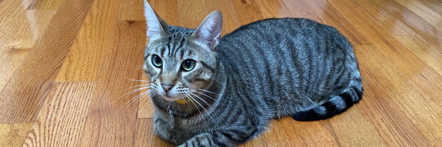 XTxmTU's profile banner image