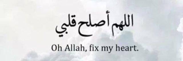 ikramehaddad's profile banner image