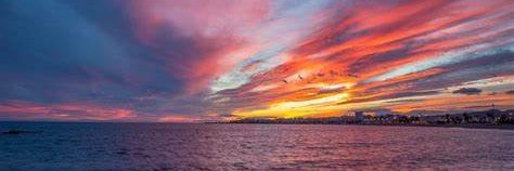 José Luis 🐦 banner