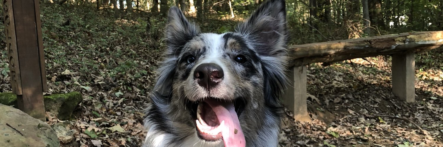 bailey_griffy's profile banner image