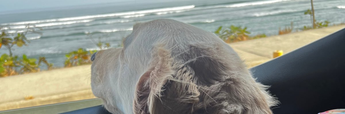 J_Intriiago's profile banner image
