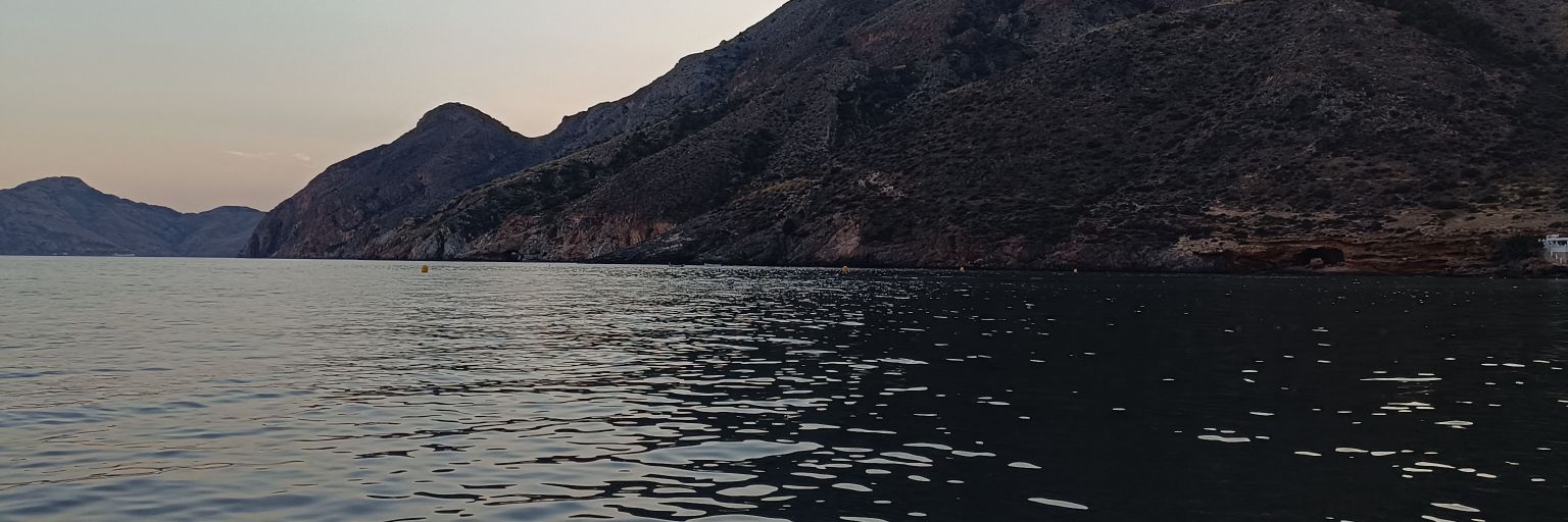 Mariaa banner