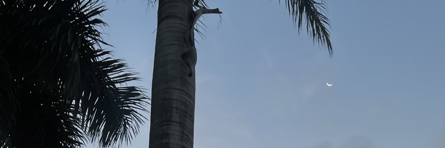 badgalmand_'s profile banner image