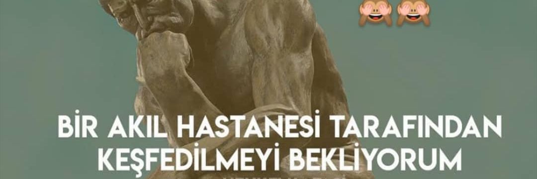 kelebeik's profile banner image