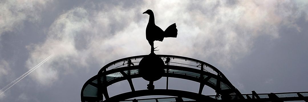 nnudttam's profile banner image