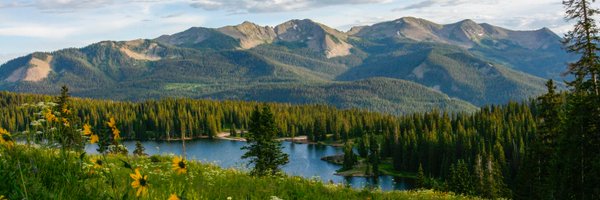 LisaD144 Profile Banner