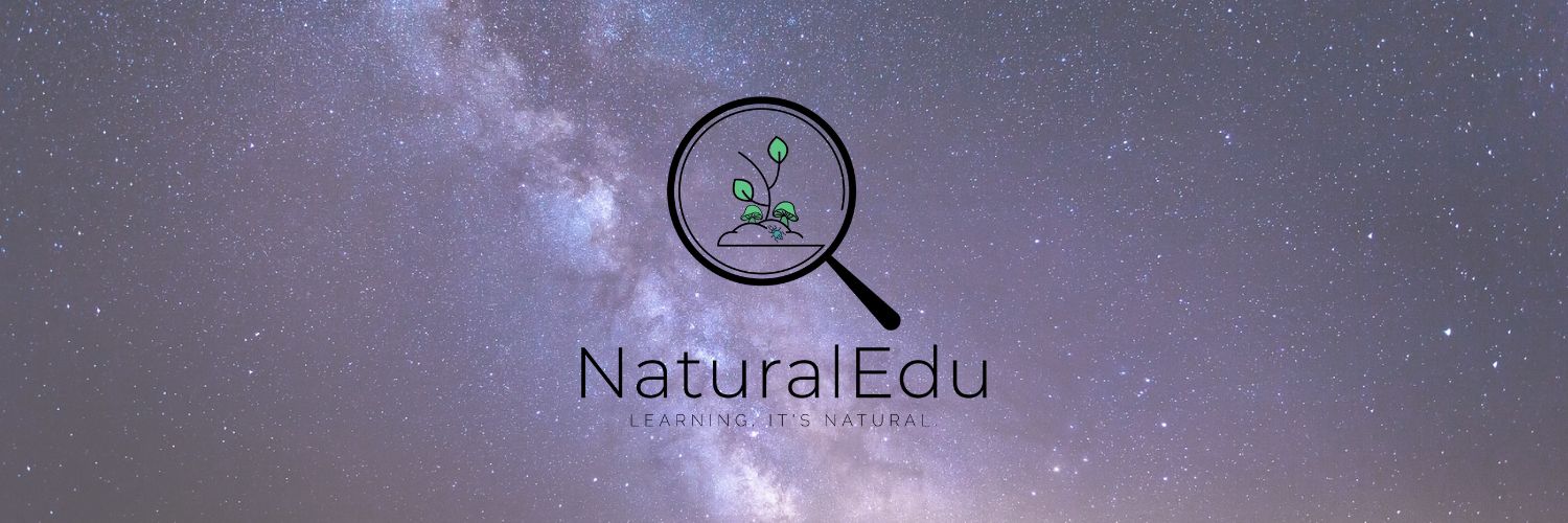 NaturalEdu_NLE's profile banner image