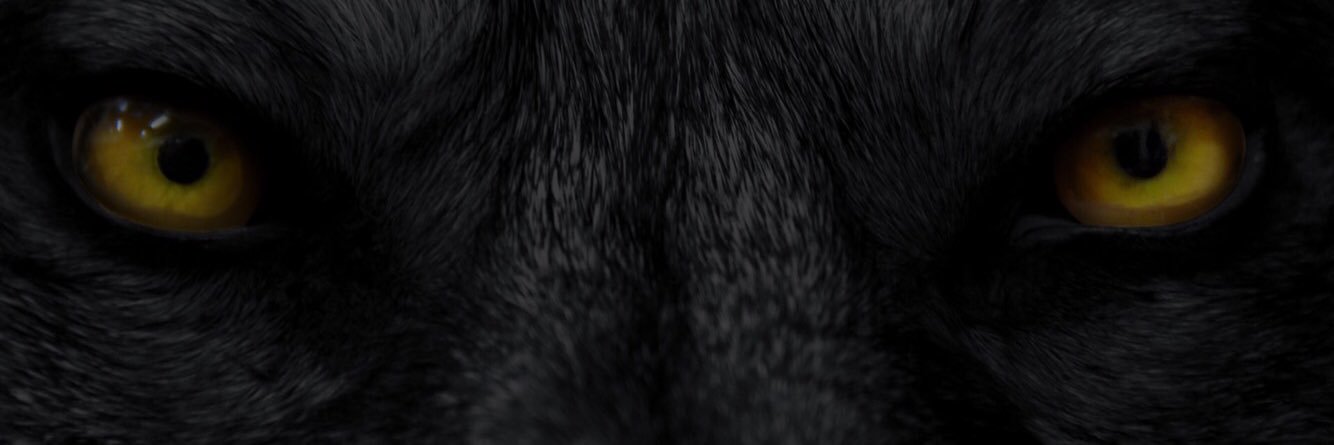 Green Canyon Wolves banner