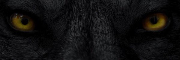 gcwolves Profile Banner