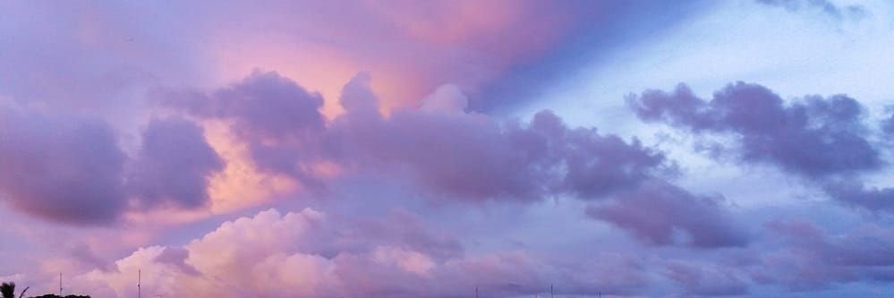_carosperling's profile banner image