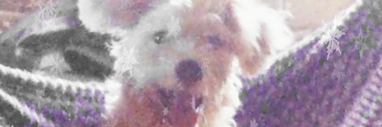 janecijalin's profile banner image