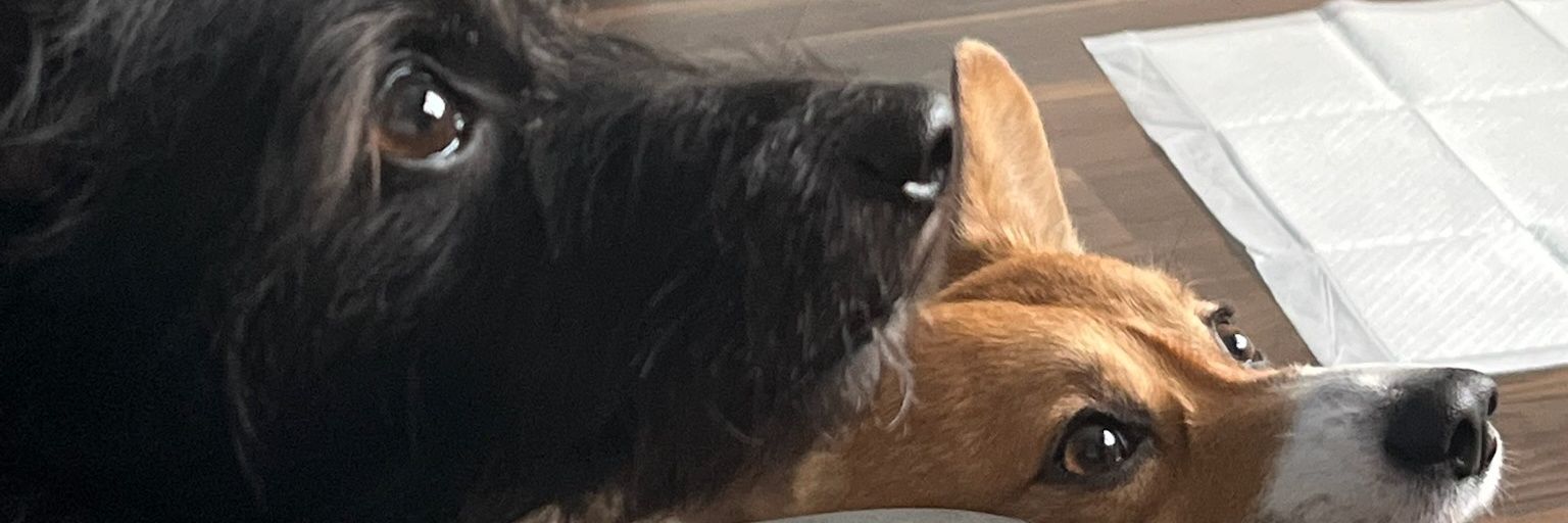 One_Leg_Sam's profile banner image