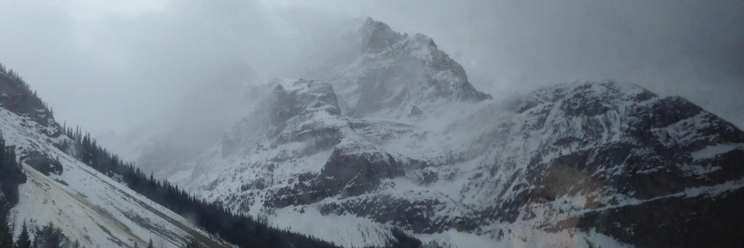 tweedpunk's profile banner image