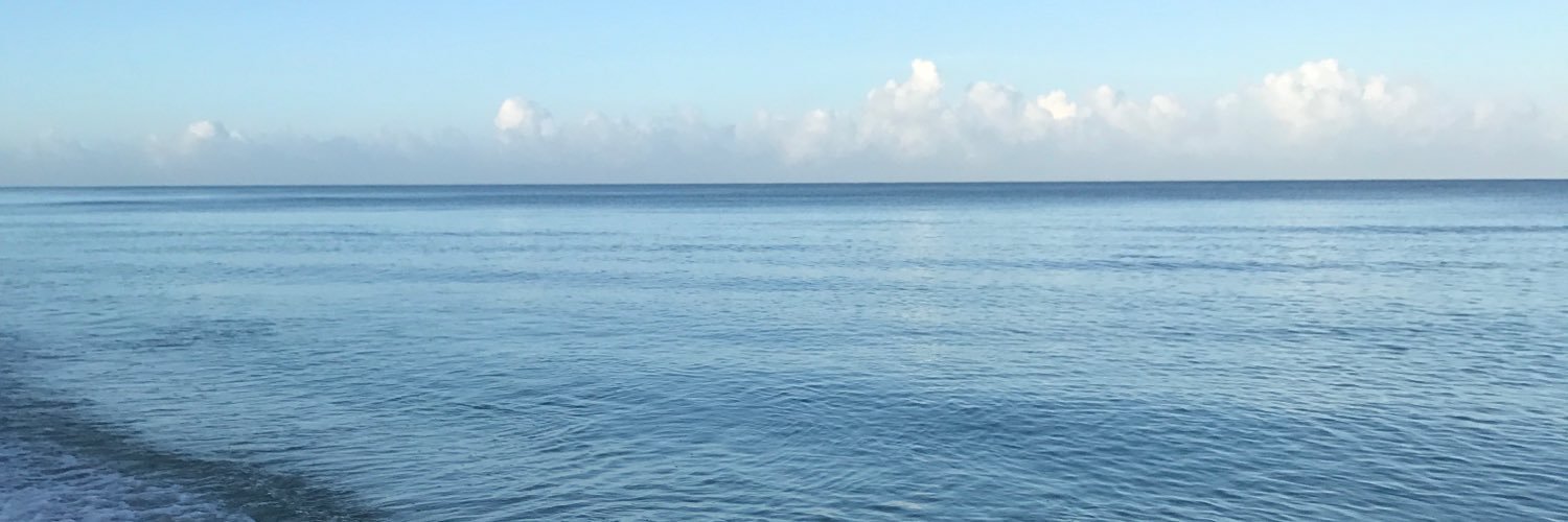 mrsduges's profile banner image