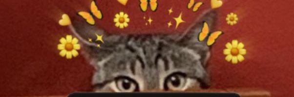 Rubén 🧸 banner