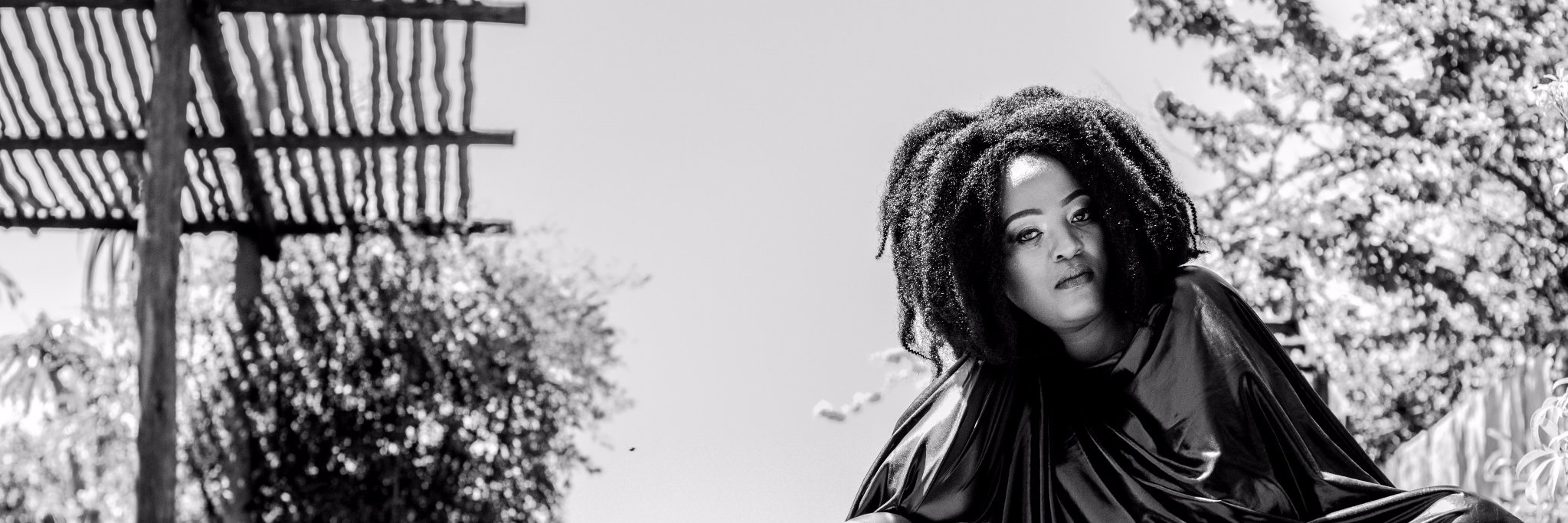 NonoSiile's profile banner image