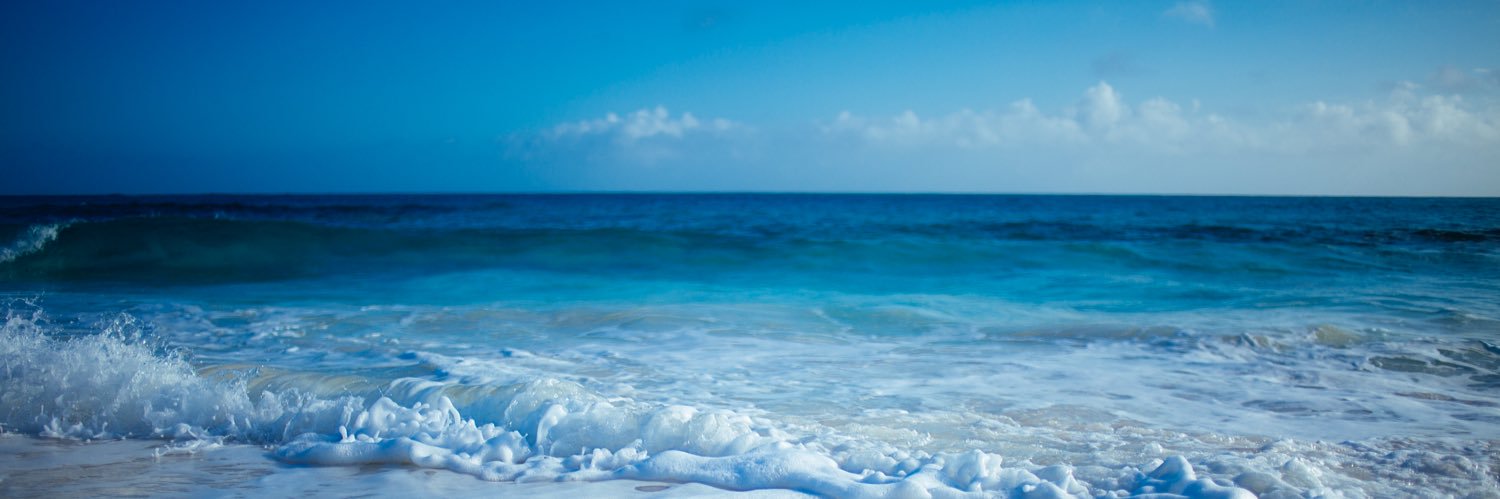 MLacc 🍑🌿🔞 COMM OPENS banner