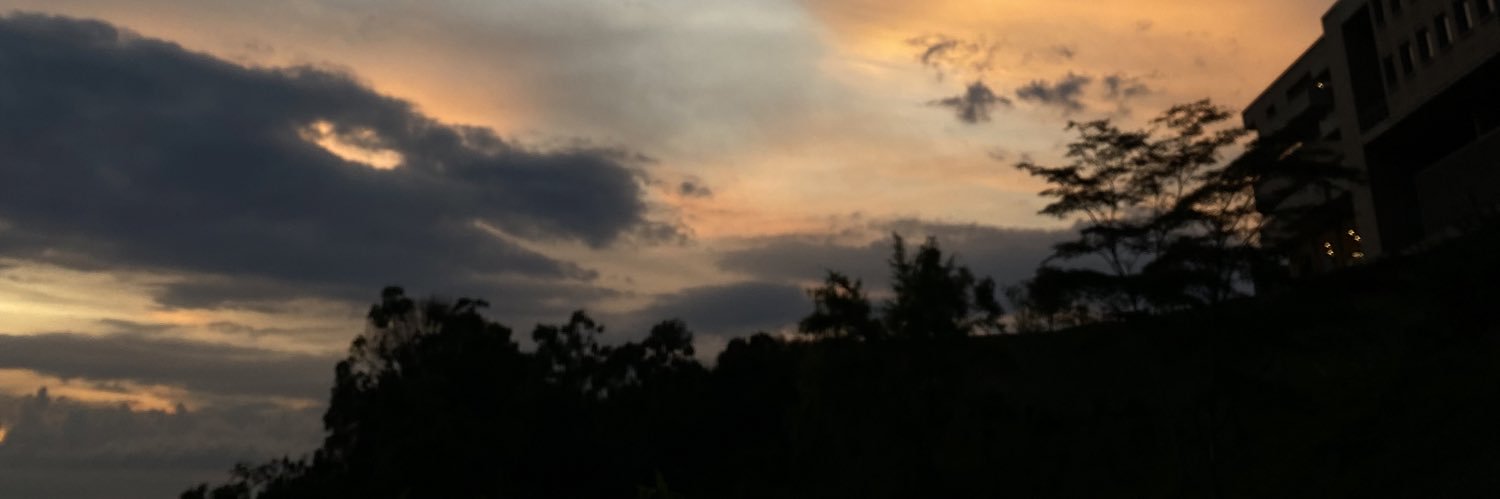 Daniela. banner