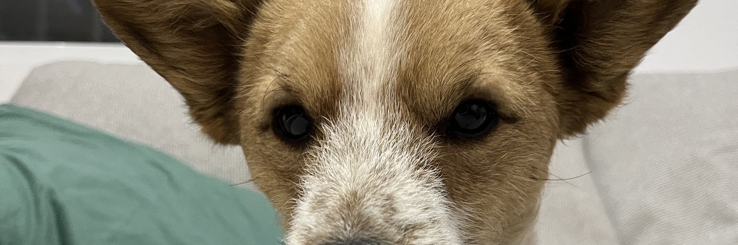 Glooo97's profile banner image