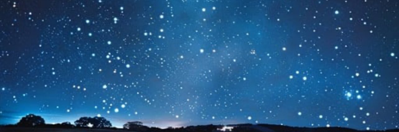 WhitehurstSusan's profile banner image